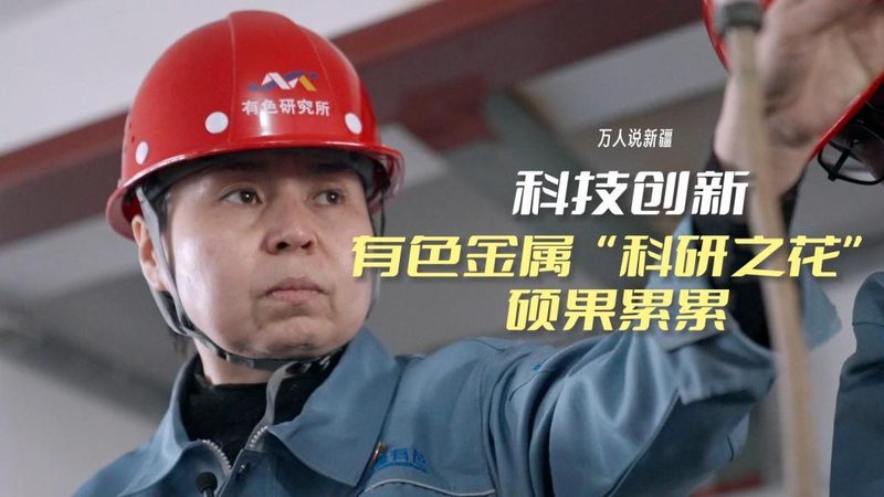 数据可视化图表类型分类：洞察数据之美